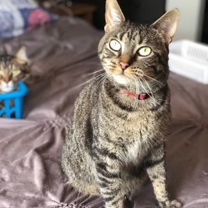 Meet your Posher, Amanda